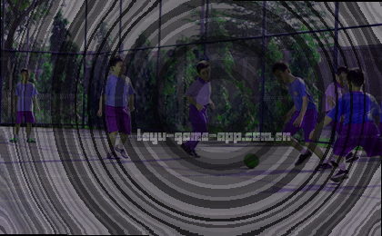 阳光洒在雨后新叶上的温柔光泽